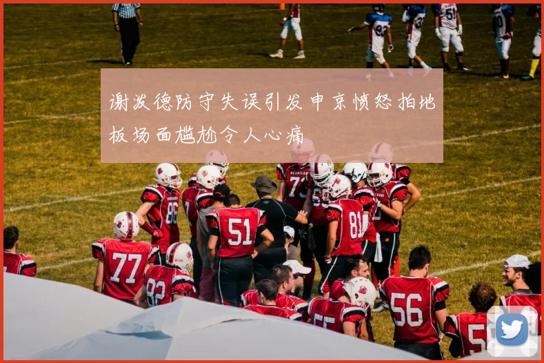谢泼德防守失误引发申京愤怒拍地板场面尴尬令人心痛