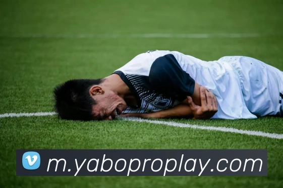 亚博体育APP 封面图